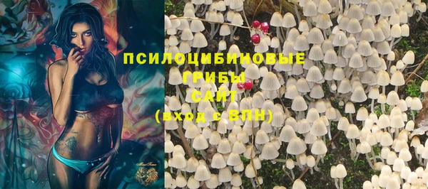 спайс Арсеньев