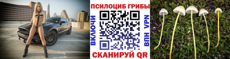 Псилоцибиновые грибы MAGIC MUSHROOMS  даркнет какой сайт  Удачный 